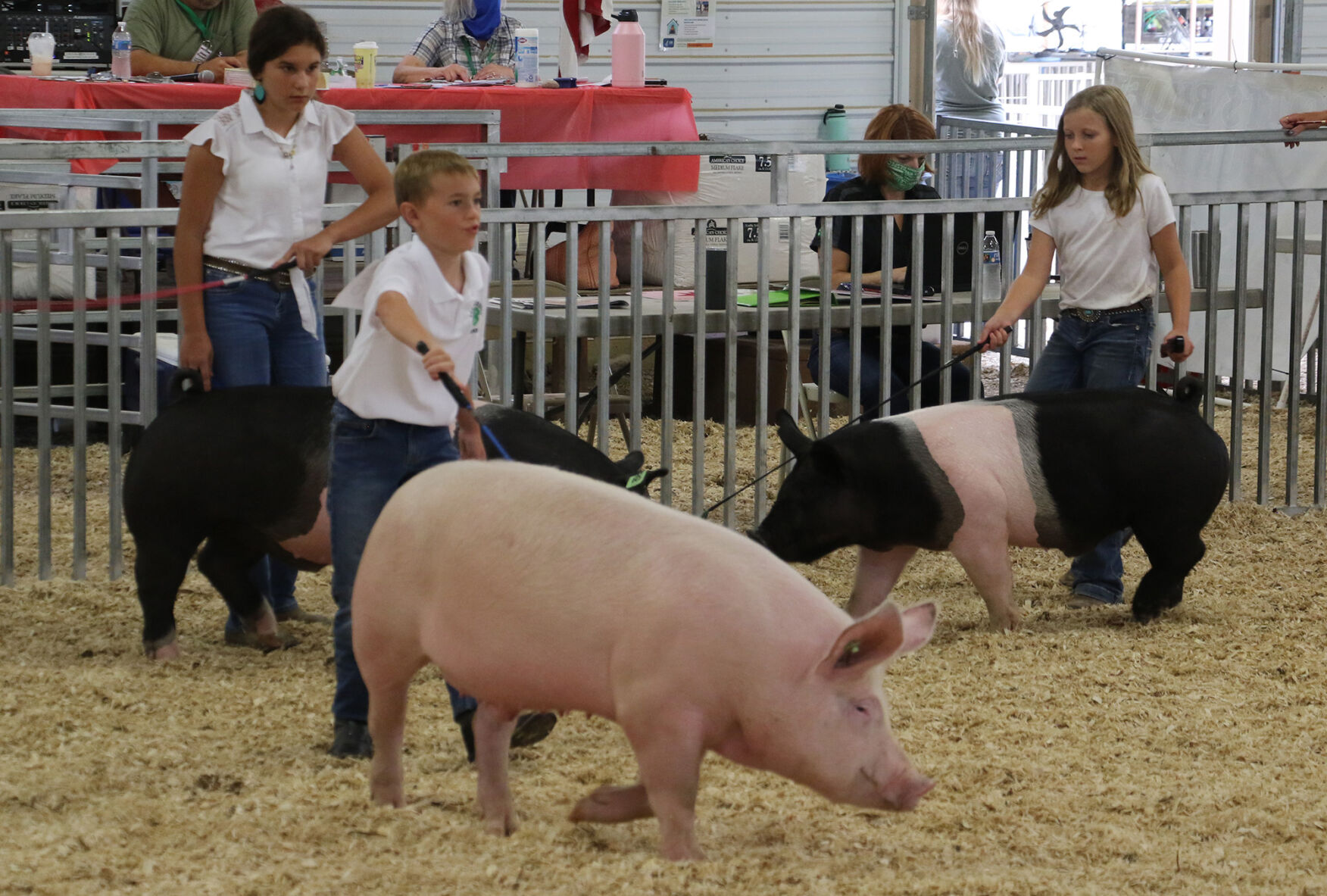PHOTOS: Pig Showmanship